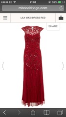 Please help me choose a dress for my Xmas party!!!