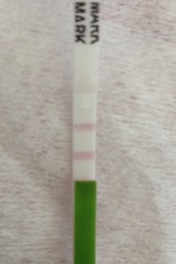 Is this ovulation test positive?