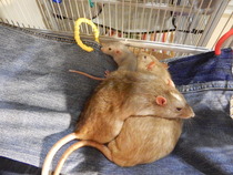 How they have grown...