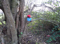 Read Mumsnetters’ special Paddington Bear stories! - £250 voucher to be won for testers!NOW CLOSED
