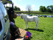 Week 6 - Pre-Christmas Low Carb Bootcamp - it's all downhill from here!