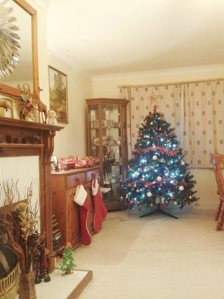To love glittery tat Christmas  decs and not two colour trees and tastefulness?