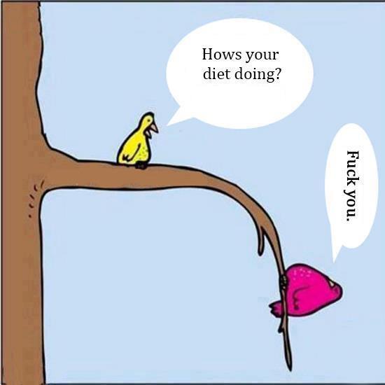 my 22.3 stone mission! :)