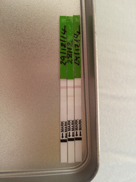 ovulation sticks, is this positive on cd7?