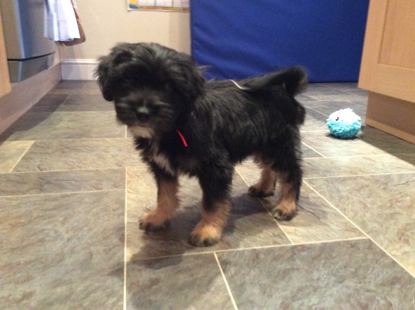 ouw new family member