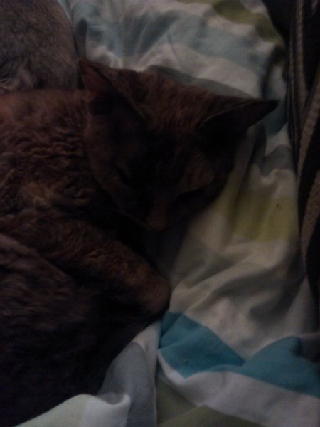 Feeling sentimental about MKitten...
