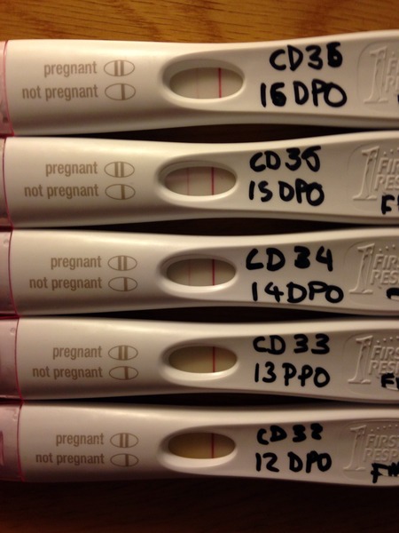 Chemical Pregnancy?