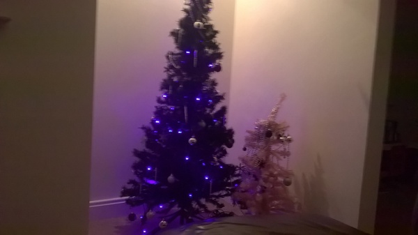 On The 12th Day of Xmas My Viroids Gave To Me 12 OPKs 11 New Positions 10 Symptom Spots 9 Pics Of Cats 8 TMI's 7 Shag Stories 6 Cervix Positions 5 Temp Charts 4 Hooyas 3 DPO 2 Gx and an Xmas BFP!JS 35