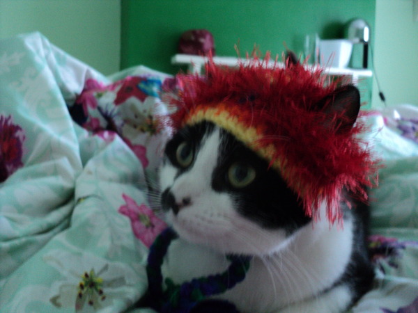 Issues with Mr Cory and the Santa hat