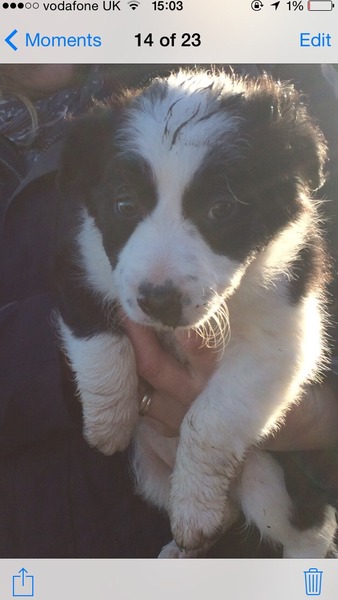 Probably BU but need you to help me decide on a name
