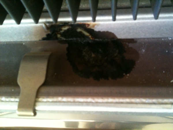 Help! Does anyone know anything about gas fires?