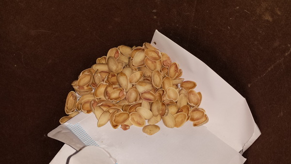 how many pistachios would be poisonous?