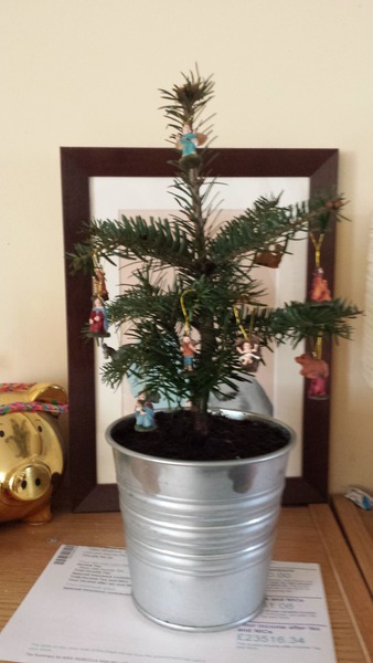 Who got a twig tree and why?