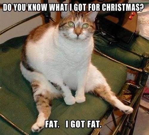 To ask how much weight you usually put on over Christmas?