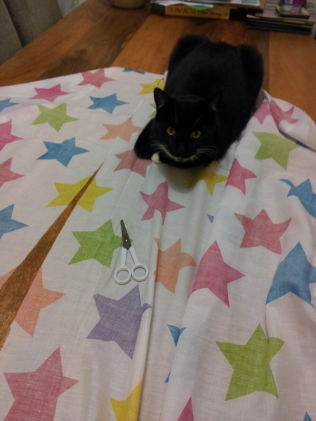 On The 12th Day of Xmas My Viroids Gave To Me 12 OPKs 11 New Positions 10 Symptom Spots 9 Pics Of Cats 8 TMI's 7 Shag Stories 6 Cervix Positions 5 Temp Charts 4 Hooyas 3 DPO 2 Gx and an Xmas BFP!JS 35