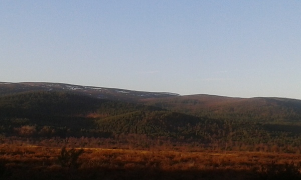 Badkitten's 'Will it snow at Christmas?' thread.