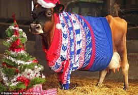 Season's (well nearly) greetings, and welcome to the MUMSNET SECRET SANTA 2014!