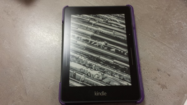 What case/ cover do you have for your kindle?