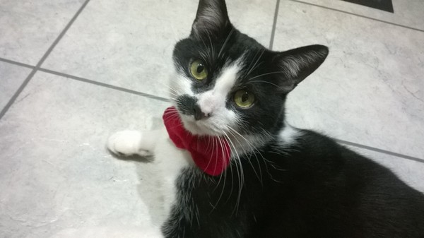 Feeling sentimental about MKitten...