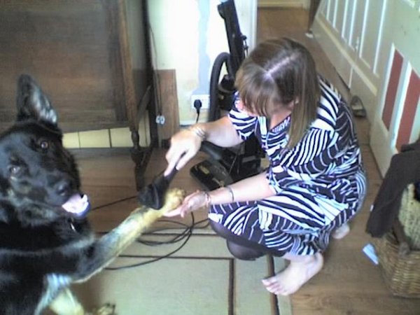 Mumsnetters needed to try out the Miele Complete C3 PowerLine Cat & Dog vacuum cleaner - worth £270.00! NOW CLOSED