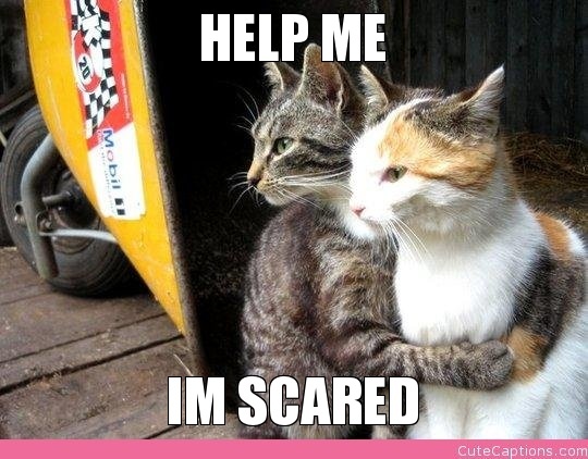 FRICKING LIGHT HEARTED