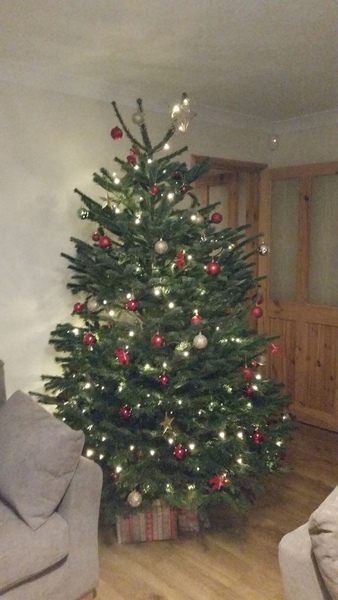 On The 12th Day of Xmas My Viroids Gave To Me 12 OPKs 11 New Positions 10 Symptom Spots 9 Pics Of Cats 8 TMI's 7 Shag Stories 6 Cervix Positions 5 Temp Charts 4 Hooyas 3 DPO 2 Gx and an Xmas BFP!JS 35