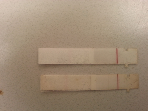 CVS early pregnancy test results