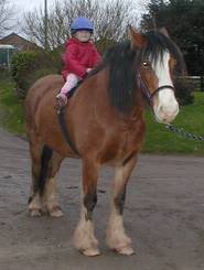 10yo daughter helps out voluntarily at stables and is being accused of not working hard enough
