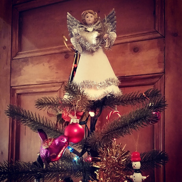 What sits atop your Christmas tree?