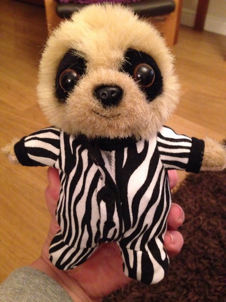 To apply for a credit card through Compare The Market just to get a meerkat toy?