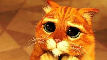 Swagger Inn Thread 71 - Wench like your life depends on it, which incidentally it does (if you're with the Cardnial)