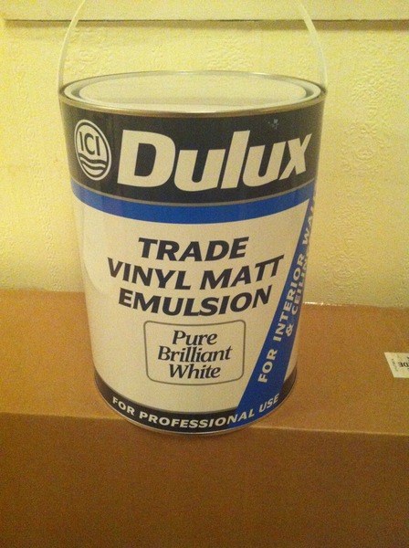 Primer for painting fresh plaster?