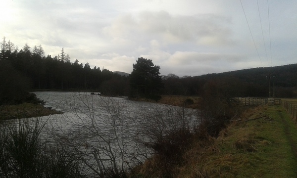 Badkitten's 'Will it snow at Christmas?' thread.