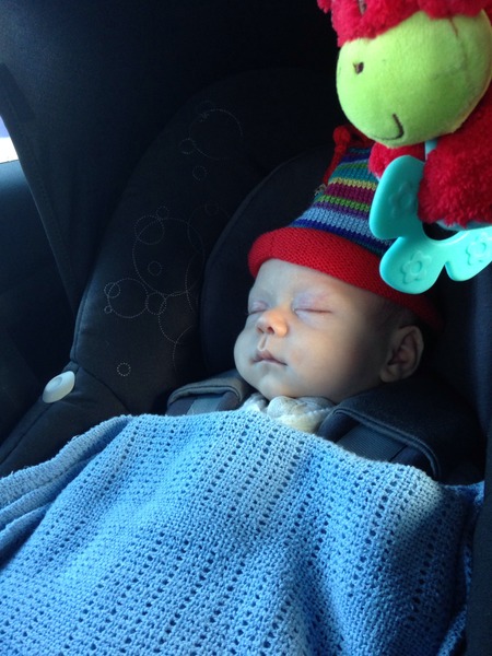 Just Mumming Along (viroids 2)