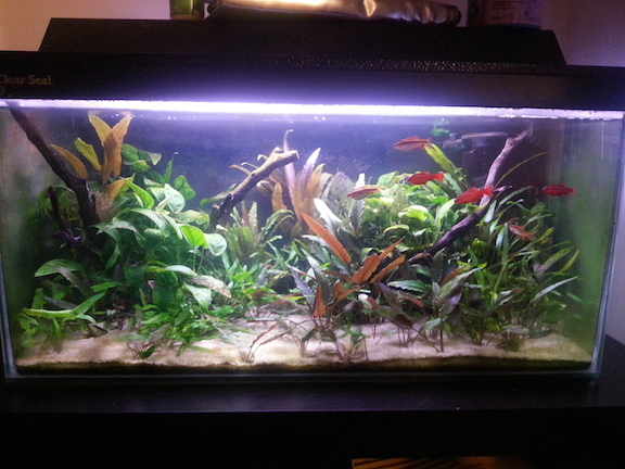 Would anyone like a picture thread for sharing our set-ups?