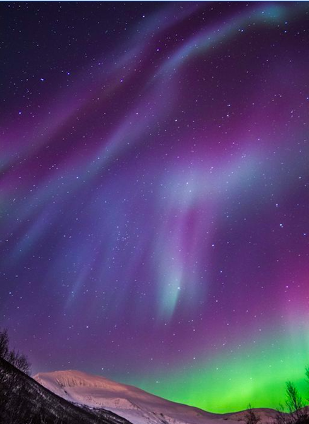 Armchair aurora watching