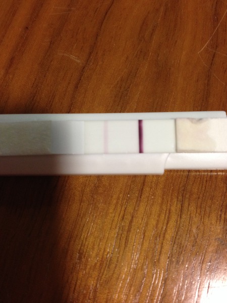 Old bird graduates, gather round....let's talk chicklets!