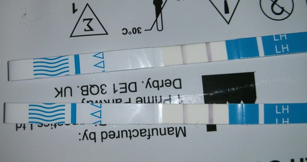 Positive OPK can mean a BFP??
