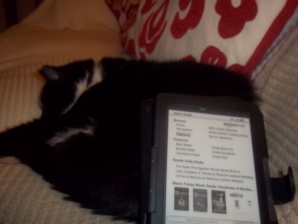AIBU to use the cat as a plate?