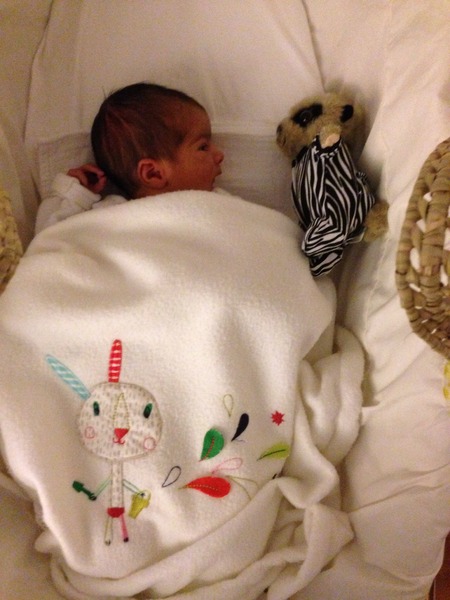 December 2014 thread 8: turn up the heat - the Christmas turkeys are cooking!