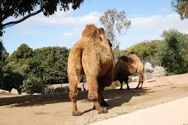 The Brave Babes Battle Bus - Driving Through A Sober Winter Wonderland.