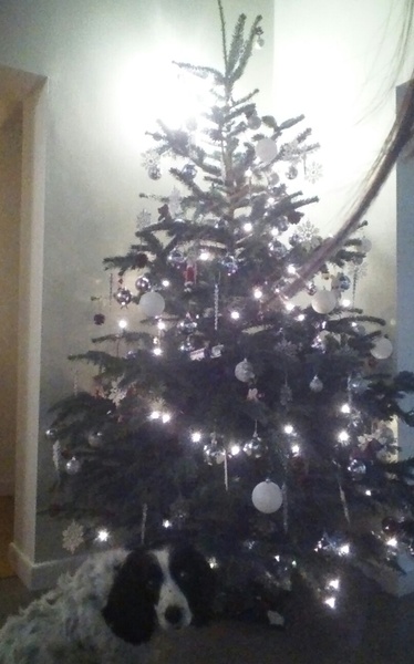 On The 12th Day of Xmas My Viroids Gave To Me 12 OPKs 11 New Positions 10 Symptom Spots 9 Pics Of Cats 8 TMI's 7 Shag Stories 6 Cervix Positions 5 Temp Charts 4 Hooyas 3 DPO 2 Gx and an Xmas BFP!JS 35