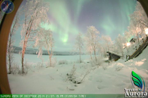 Armchair aurora watching