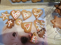 Celebrate Alfie's Christmas by entering our Christmas decoration comp for chance to win a mini micro scooter