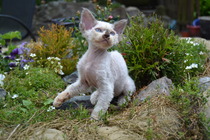 Feeling sentimental about MKitten...