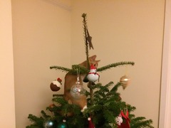 hope you all have a happy catmus