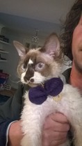 Feeling sentimental about MKitten...