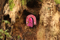 Little Forest Folk Nursery - intrigued? Read on...