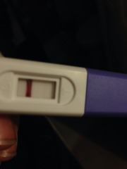 Dear Santa, we've been a bit naughty in all the right ways, & given our husbands plenty of lays, we don't need presents under our tree's, we'd all be happy to get BFPs!! Love the Viroids....JSing 34!!