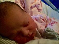 The shiny new Pregnant after MC due December 2014 thread #2